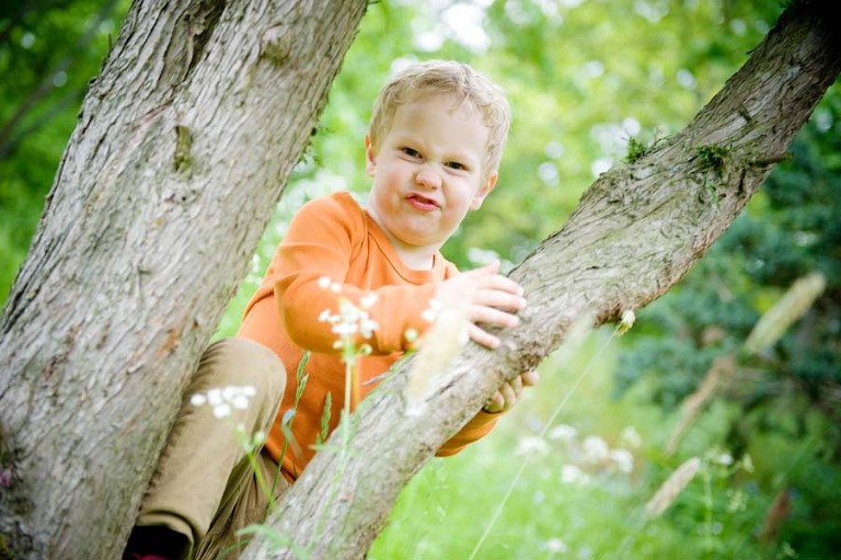 boy in orange in tree