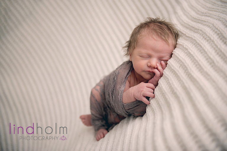 nyföddfotograf, stockholm, huddinge, tullinge. newborn photographer stockholm