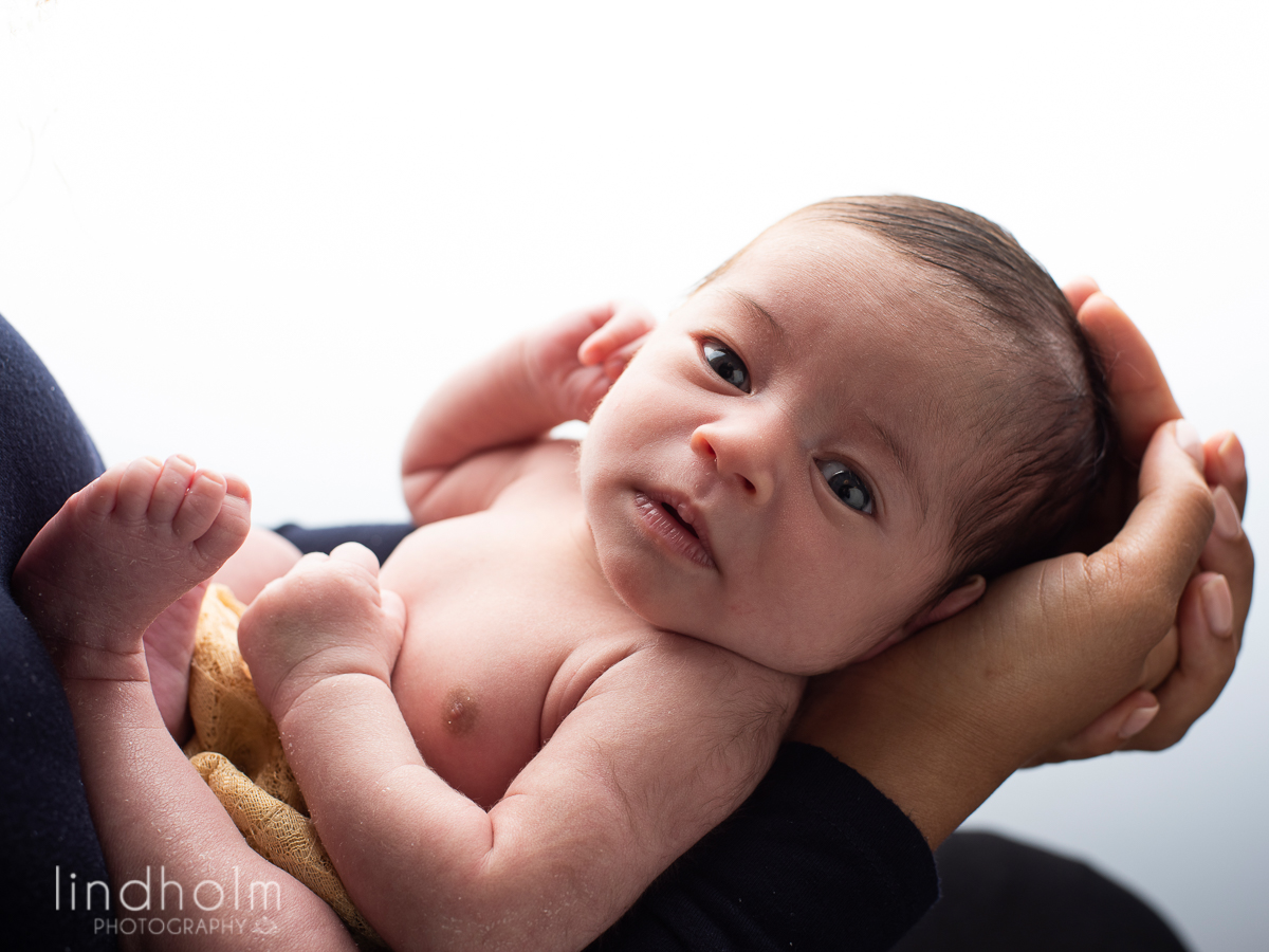 nyföddfotografering, nyföddfoto stockholm, nyföddfoto tullinge, nyföddfotografering huddinge