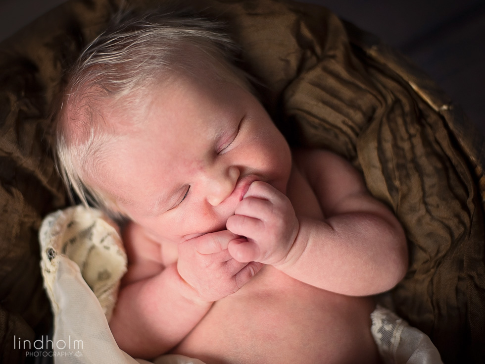 fotograf stockholm nyföddfoto, nyföddfotografering i tullinge, mellan huddinge och tumba.
