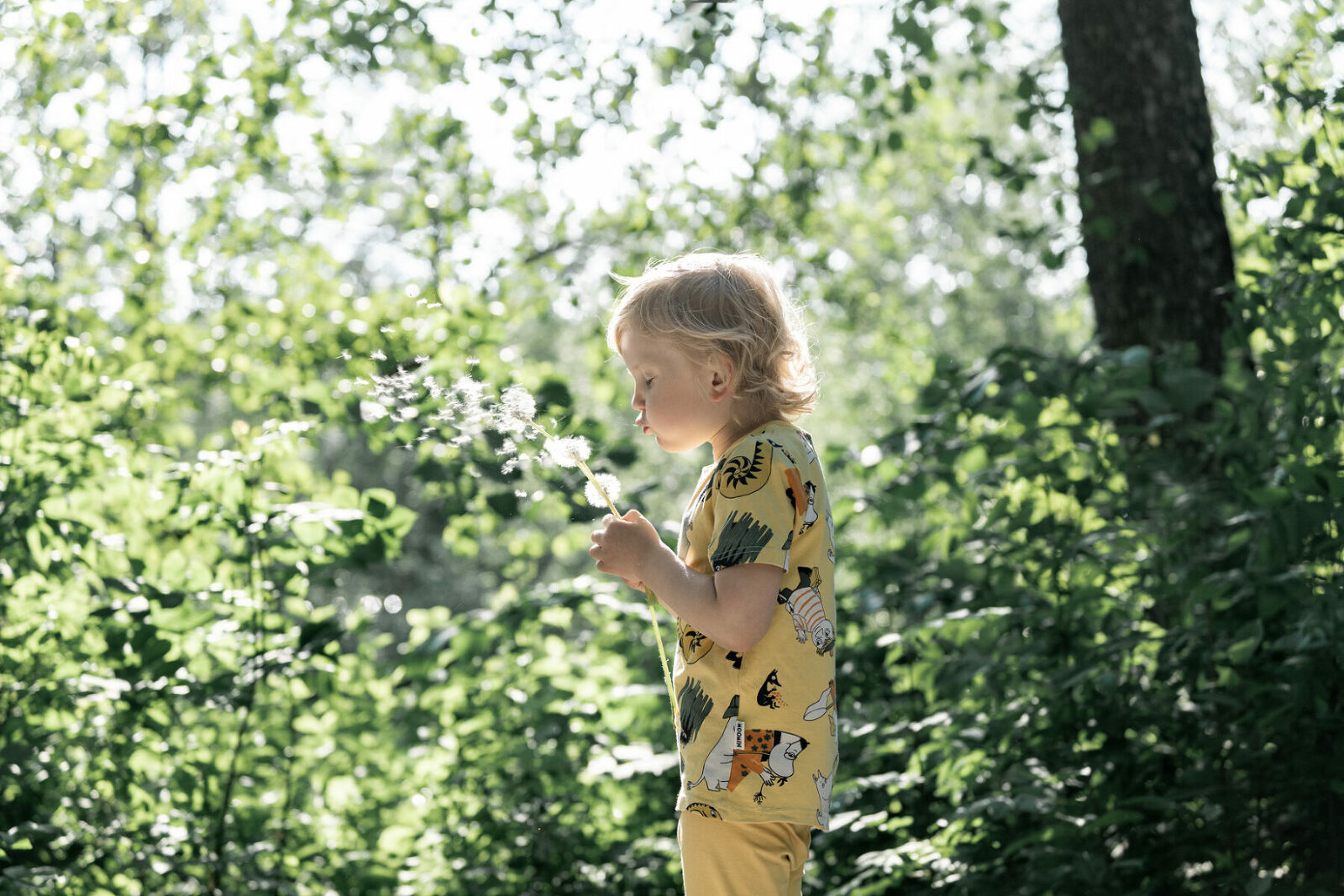 utomhus barnfotografering, barn blåser maskros i motljus