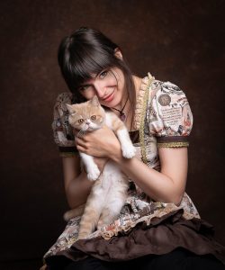 kattfoto, husdjursfoto,