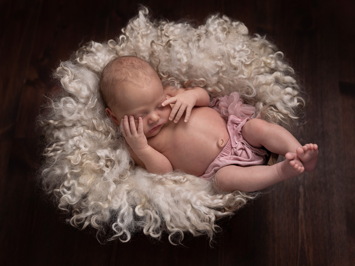 Nyföddfoto, nyfödd foto, nyföddfotografering, fotograf stockholm