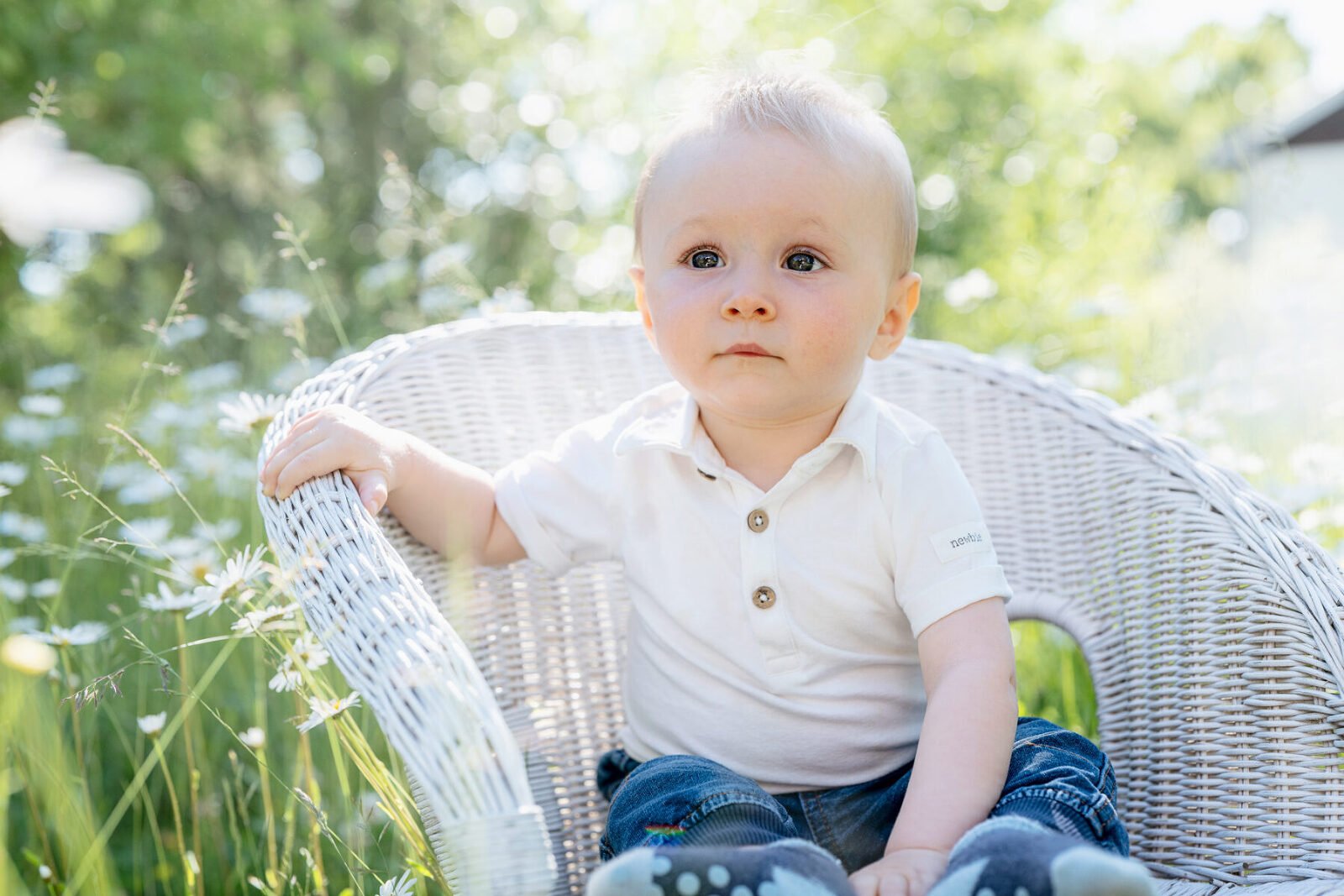 familjefotografering , barnfotografering utomhus familjefotografering tullinge huddinge tumba