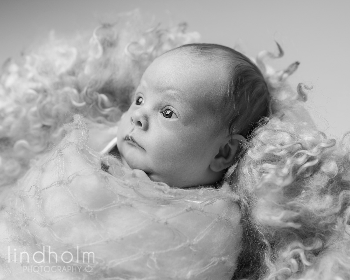nyföddfotografering, babyfoto